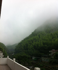 端午小食