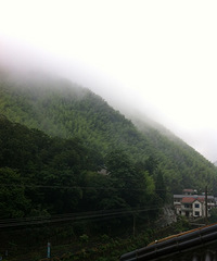 端午小食