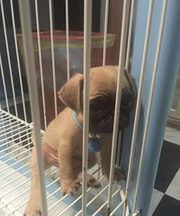 �˸����������ϲ��˽��