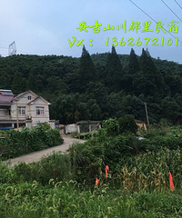 自驾好去处,离杭州一小时车程