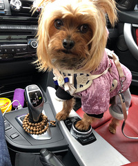 ��Լ���ģ��������������