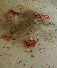 ����˹���ű���89��ԭľС����P.246ʳ����������������Щ�¶�