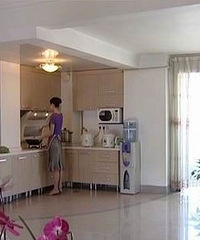 "说说开放式厨房用什么油烟机较好"