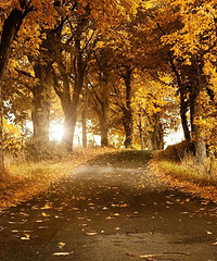 С�����װ�ޡ�����[12.01 ����ͼ���ϴ�]