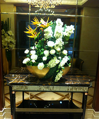 [����ǳ�]120ƽ�� ��� �ִ��ݻ����