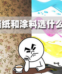 "墙纸PK涂料 你会怎么选?"