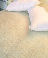 [�Ҿ�]������翹������ �㲻һ���˽���