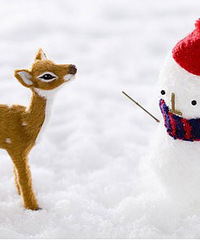 [�Ҿ�]�����������¼�װ����Ҫע����Щ?