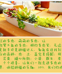 【我晒我家】3月春暖花开 晒出你家的绿色植物 名单公布