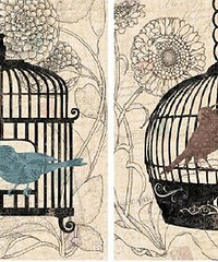 �����µ��Ա� û�뵽