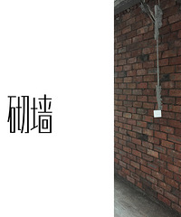 行业的老泥工,给我讲了一下午的砌墙要点!