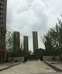 虽然杭州这个城市生活的这么累,但是我坚持到了现在!