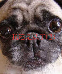 就这么干一票能捞到1万块?我的钱包就这么漏光了