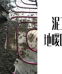 泥工:既隐蔽,又美丽