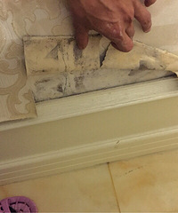 һ�겻���ͷ�ù