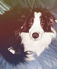 [�²�]ΪŮ���ѷ�������139�� ʣ40W��Ҫ����̥����