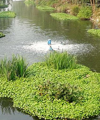 [�²�]200W�ķ��ӱ����г�ˮ�� ��������ʳ������