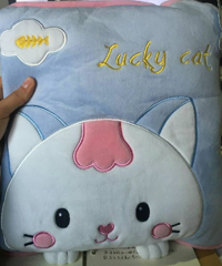 �Ӽ����͵Ľ�Ʒ