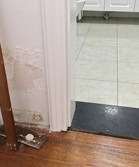 整楼百余户唯独我中招 刚入住新家又得开膛破肚