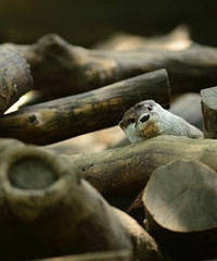 [����]������벻�� ��������ľͷ�ͳ������ҵļ�