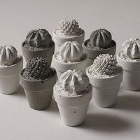 [�²�]ë�������Ҽ�֮��ֻ��һ����Ͱ���Ŵ�