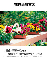 【花卉小教室第3期】6个养花实用小技巧