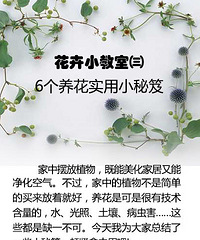 【花卉小教室第3期】6个养花实用小技巧