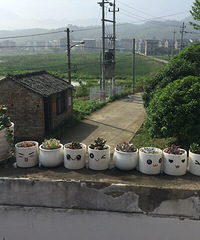 ���ѵó�̫��������������վ��̫���