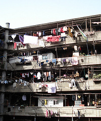 [����]ð�Ŵ����ȥ���·� �����İ�����ſ���