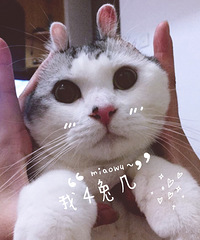 [�ռ�]�����¾�������̫�� ���ں����˶�����������