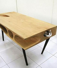 为喵喵准备的新家具 爱猫的你值得拥有