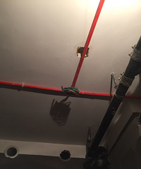 19¥���С�ֶӼݵ� ͻȻ���к�̤ʵ