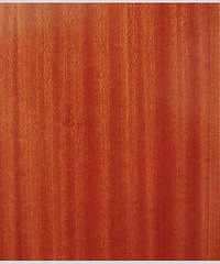 Ҫ�뽵��װ��Ԥ�� ľ�Ĺ���Ҫ����