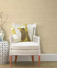 [����]ǽ�ڷ�ù�������� 1������ȥù��