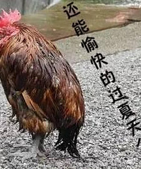 [����]�����Щ�����ӱ������ó�����С�ĵò���