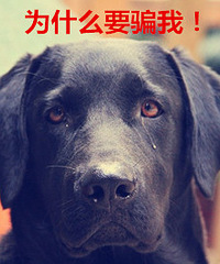 [�²�]�ҵ��¼�ס��̫ί����1��ά��40�λ�����5w