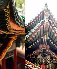 [�²�]û�Ļ�����£�ũ�����ž����洫�ı�����������