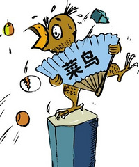 外地菜鸟在杭的装修之路 终于可以正经地买买买!