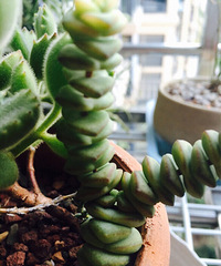 良工装饰大集合