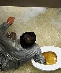 ������������������ û�뵽�Լ����������