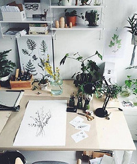 ����̯�������·������� ������ռһ��ר����ֱ����