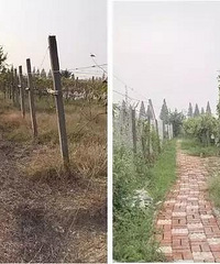 ���ｫ�ֲ���լ�ĳ�������ׯ԰ ���кö�С����