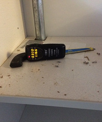 [�ռ�]��û�뵽������������·��ﰵ���š������䡱