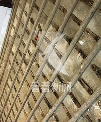 哭!家里密密麻麻的小虫子吃光了我的2000万