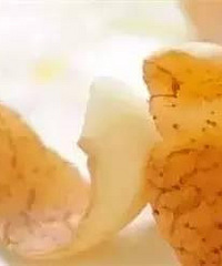煮鸡蛋壳竟能去水垢,以后再也不舍得扔了!