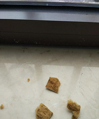 �����棡������һ���Ҽҵ��ž�Ҳ����һȦ