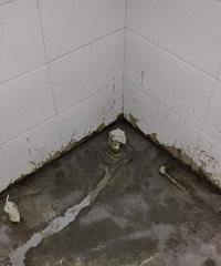 [Ͷ��]�ھ��·����־�����ש��Ⱥ�� ��������ԩ��ͷ