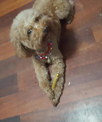 �������㡿+���ж���