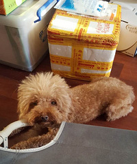 �������㡿+���ж���