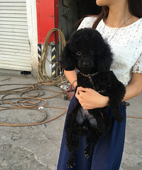 �������㡿+ɵȮһֻ